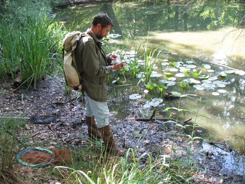 Bonne mare 17 juin 2006 027